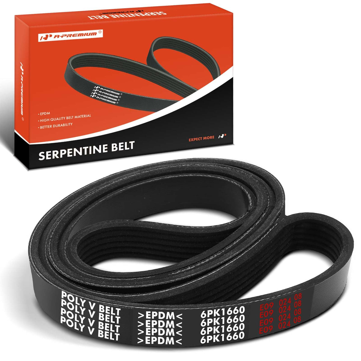 1.9L TDI Serpentine Belt 1999-2003 OEM