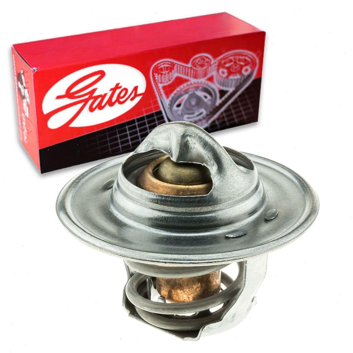 1.9L TDI Thermostat Kit 2000-2012 OEM