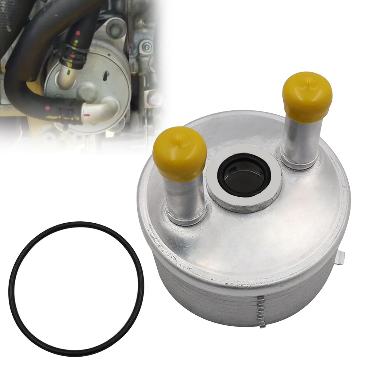 1.9L TDI Transmission Oil Cooler 2002-2017 OEM