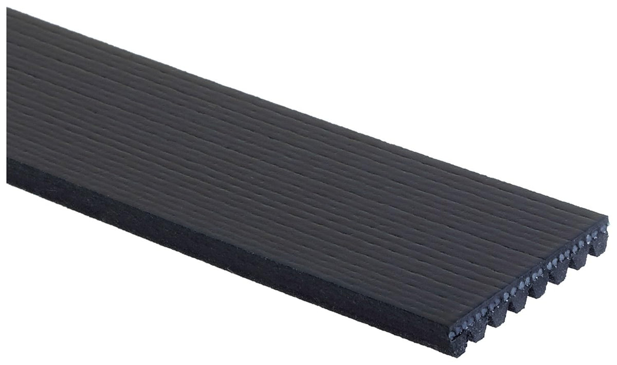5.9L Cummins 24V Serpentine Belt 1994-2002 OEM