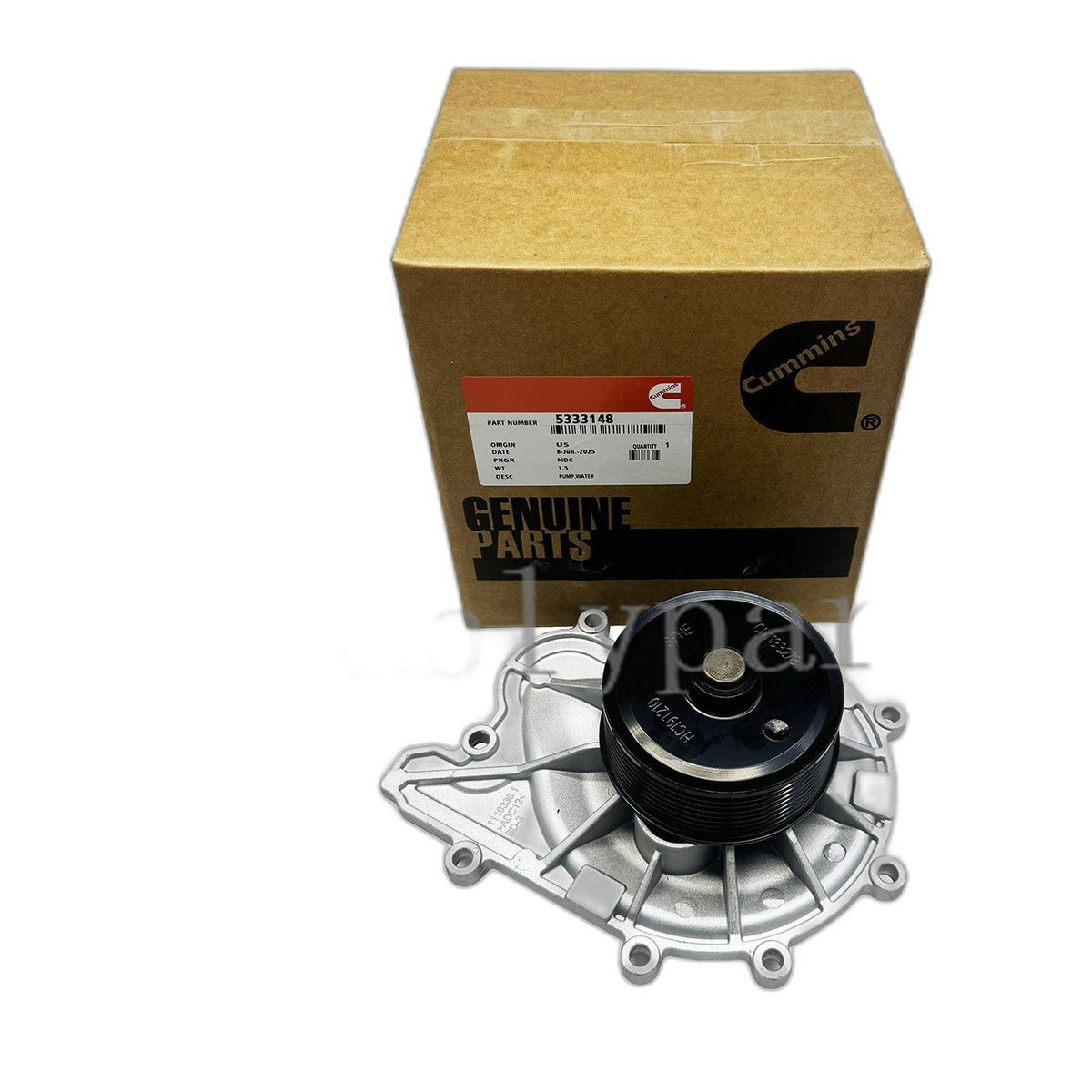 5.9L Cummins Water Pump - New Direct-Fit Diesel Replacement