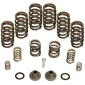 BD Diesel Governor Spring Kit 4000rpm - 1994-1998 Dodge 12-valve/P7100 Pump - Injection Pump Component | 1040185