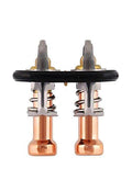 6.7L Power Stroke Thermostat Kit 2011-2017 OEM