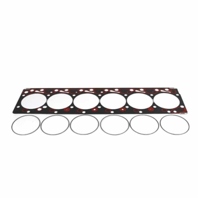 Industrial Injection 98.5-02 5.9L 24 Valve Fire Ring Head Gasket Kit Spec 4.550 | PDM-54174