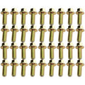 Industrial Injection Big Iron 89-02 Dodge Cummins Extended Oil Pan Bolt Kit | BI591224VOPB