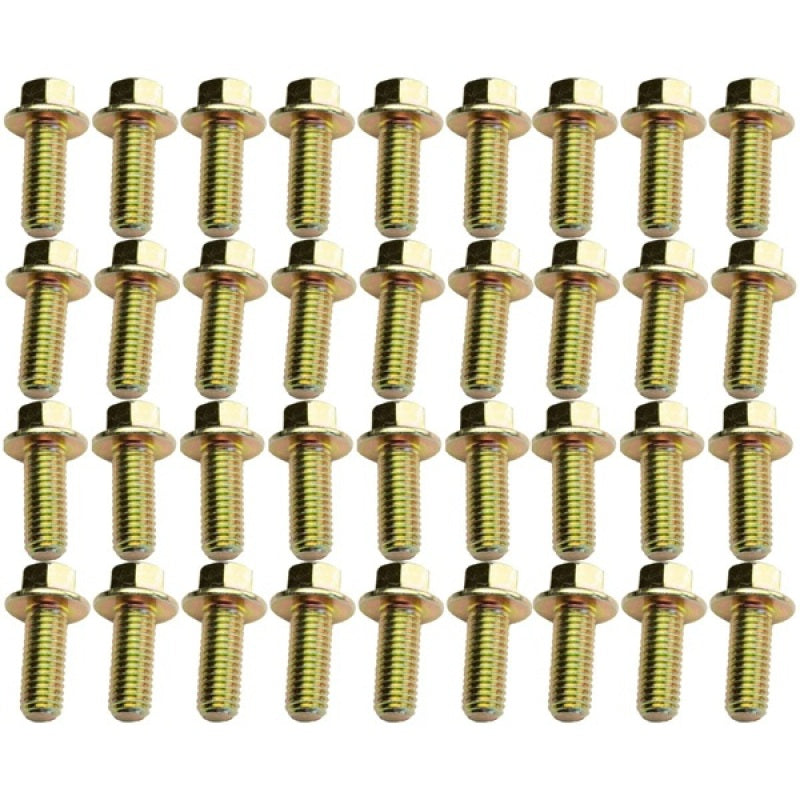 Industrial Injection Big Iron 89-02 Dodge Cummins Extended Oil Pan Bolt Kit | BI591224VOPB