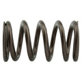 Industrial Injection 110 LBS Single Valve Spring Set - Valve Springs, Retainer | PDM-160-1484S-24