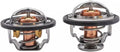LLY Duramax Thermostat Kit 2004.5-2005 OEM