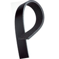 OM642 Sprinter Serpentine Belt 2010-2013 OEM