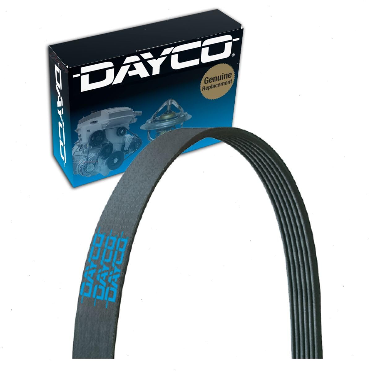 OM642 Sprinter Serpentine Belt 2014-2016 OEM