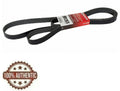 6.0L Power Stroke Belt & Tensioner - New Direct-Fit Diesel Replacement